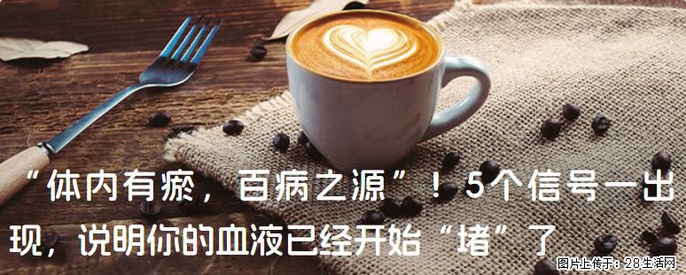 “体内有瘀，百病之源”！5个信号一出现，说明你的血液已经开始“堵”了 - 邵阳生活资讯 - 邵阳28生活网 shaoyang.28life.com